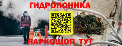 прущие крисы Северобайкальск
