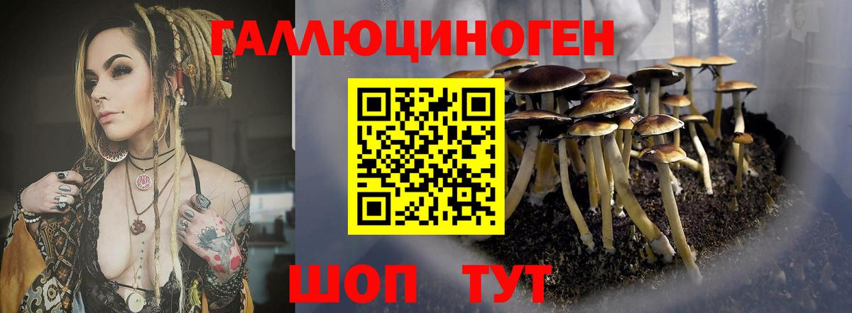 Псилоцибиновые грибы GOLDEN TEACHER Мытищи