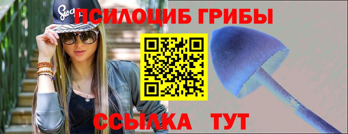 Псилоцибиновые грибы мухоморы  Вход с VPN  Галлюциногенные грибы мицелий  где купить наркотик  Мытищи 